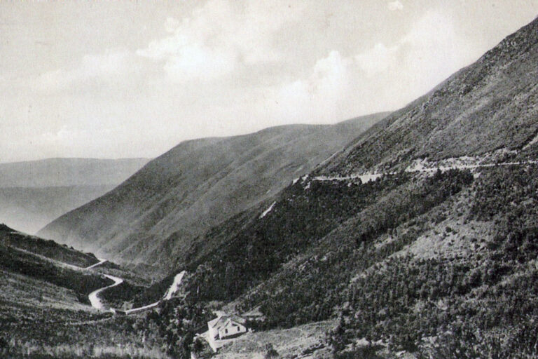 António-do-Lago-Cerqueira10
